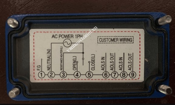 bang_mach_dau_noi_dien