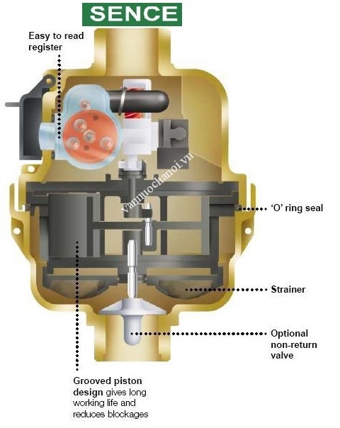 cau_tao_dong_ho_nuoc_chan_dung_sence