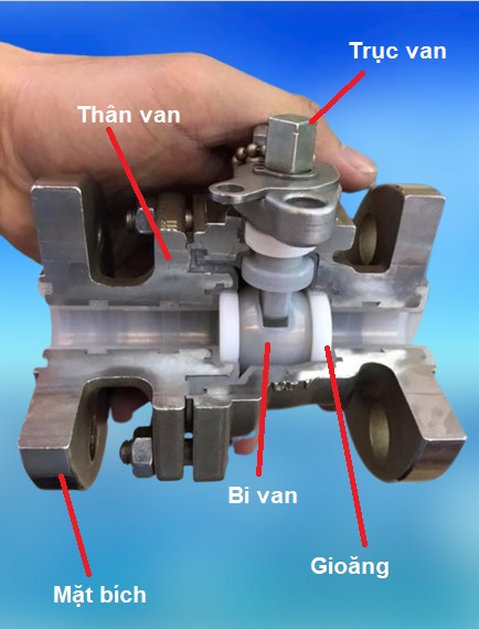 cau_tao_van_bi_inox_2