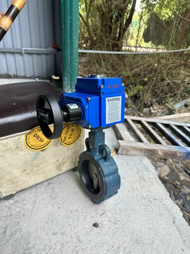 van_buom_dieu_khien_dien