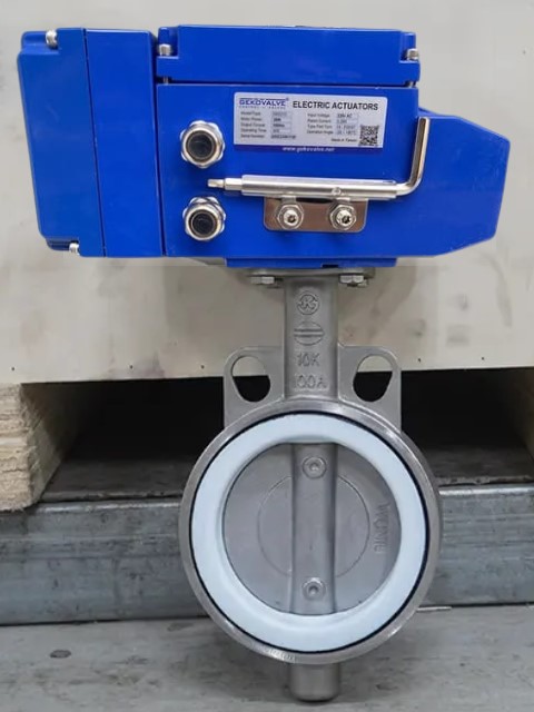 van_buom_dieu_khien_dien_tuyen_tinh_2