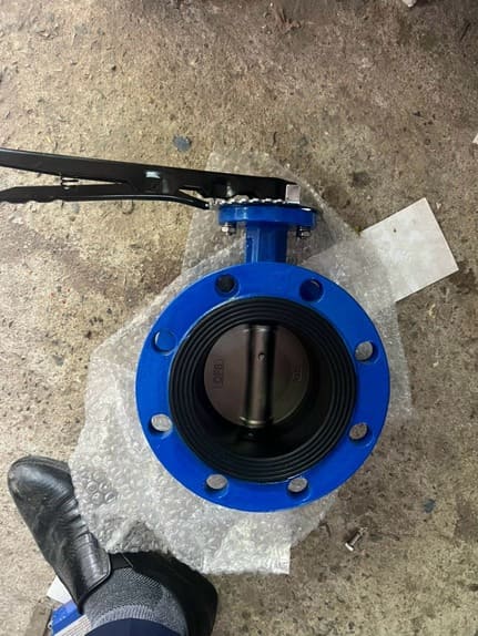 van_buom_hai_mat_bich