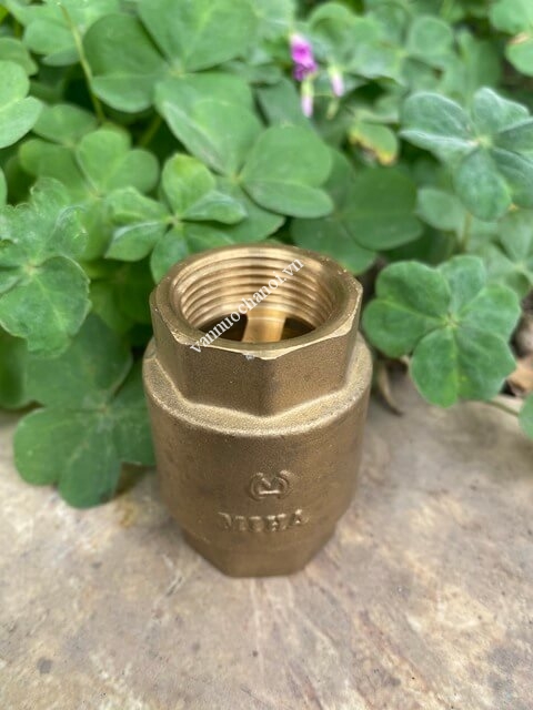 van_mot_chieu_lo_xo_dong