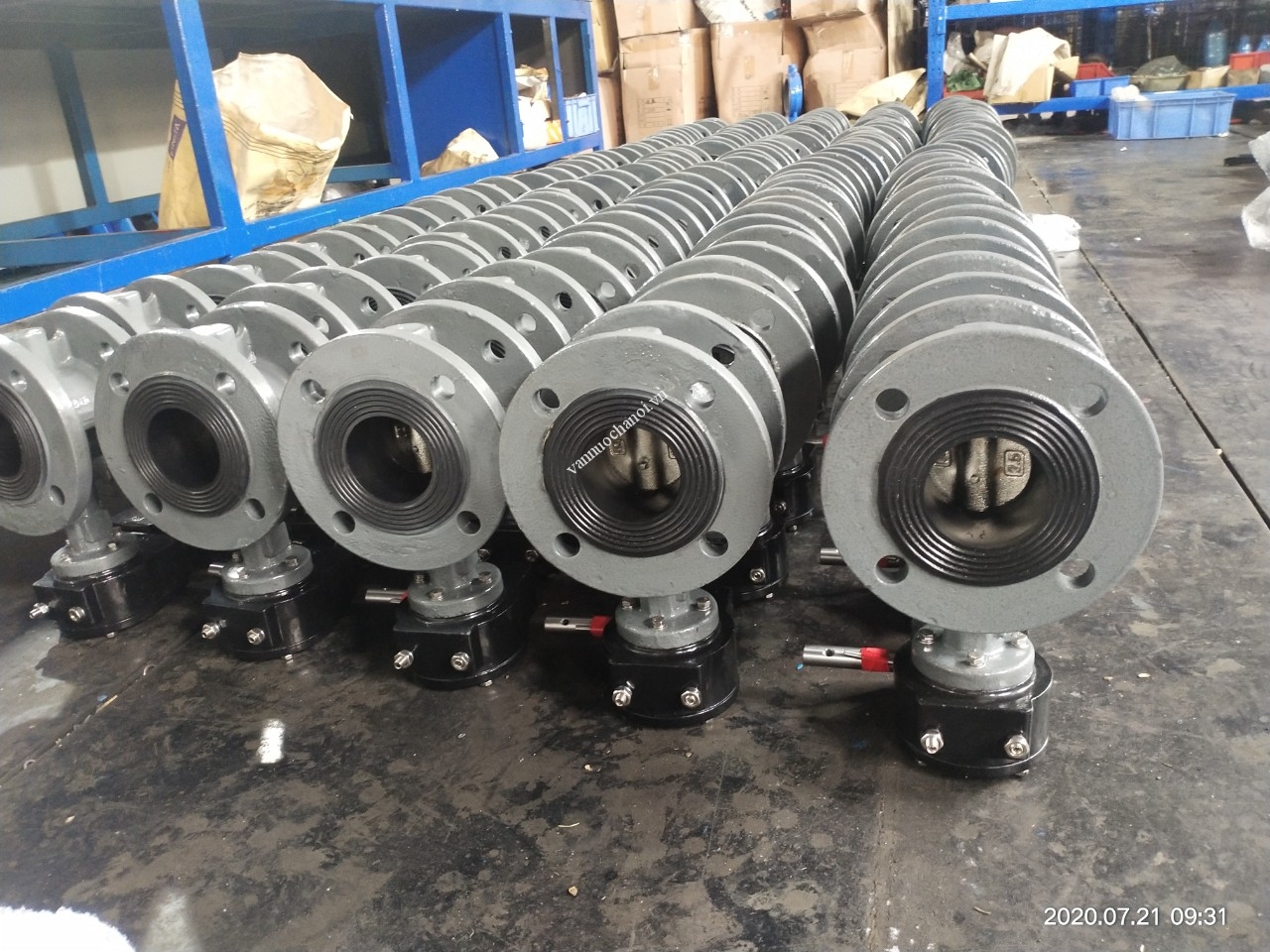 van_buom_mat_bich_tay_quay2