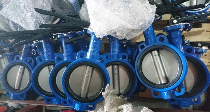 van_buom_tay_gat_han_quoc