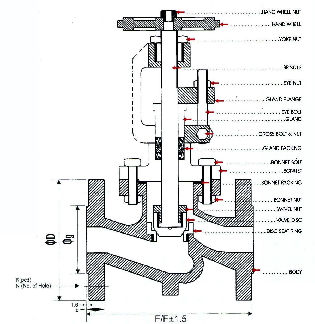 cau_tao_van_cau