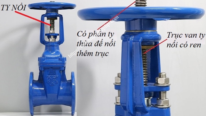 su_khac_nhau_giua_van_cong_ty_chim_va_van_cong_ty_noi