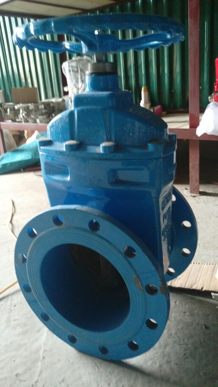 van_cong_ty_chim_ggg50