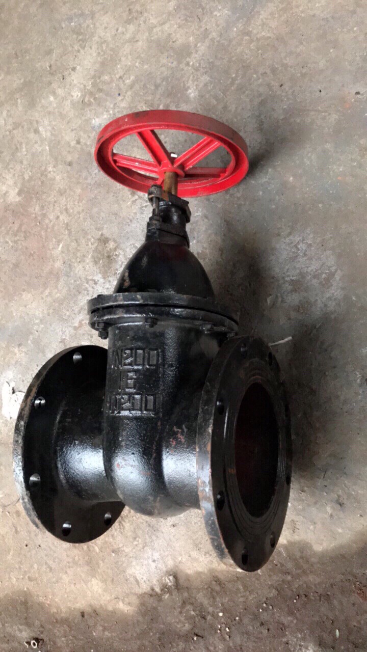 van_cong_ty_chim_js_trung_quoc