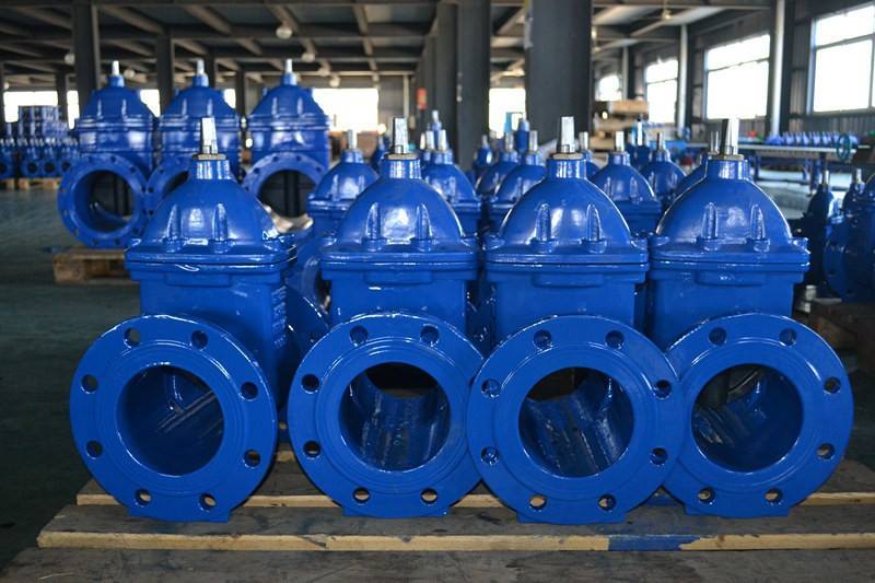 van_cong_ty_chim_nap_chup_2