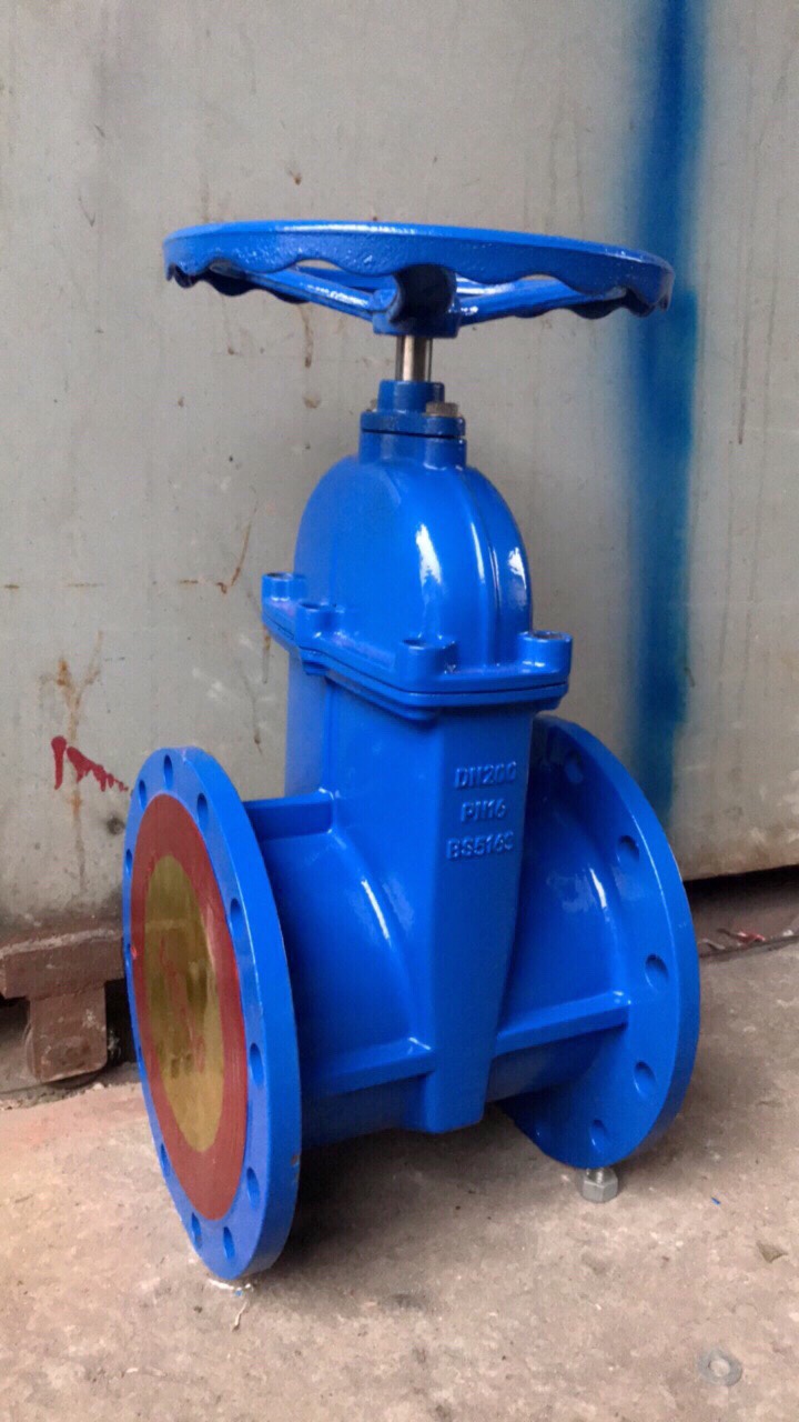 van_cong_ty_chim_trung_quoc