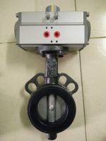 van bướm inox điều khiển khí nén dn65