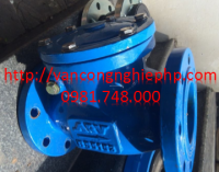 Van một chiều ARV