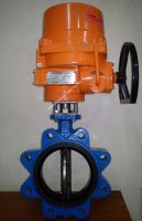 Van bướm motor điện