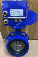 Van bướm điều khiển điện Đài Loan