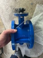 Van bướm mặt bích