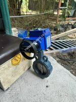 Van bướm điều khiển bằng điện