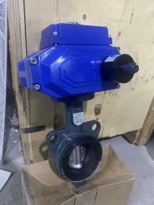 Van bướm điều khiển điện