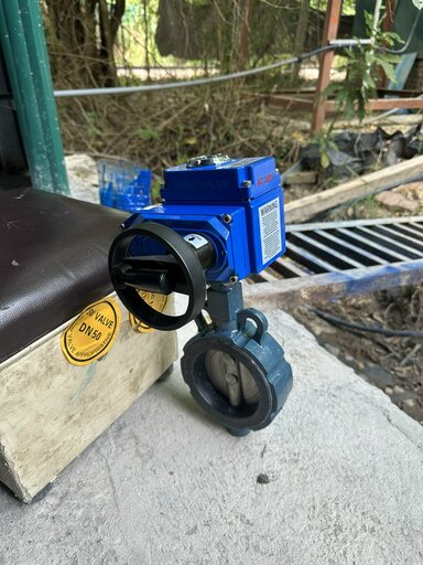 van_buom_dieu_khien_dien_dang_kep_wafer